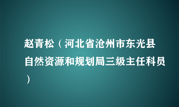 赵青松（河北省沧州市东光县自然资源和规划局三级主任科员）