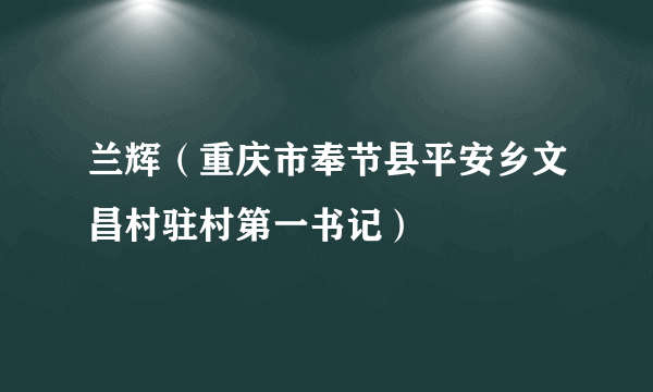 兰辉（重庆市奉节县平安乡文昌村驻村第一书记）