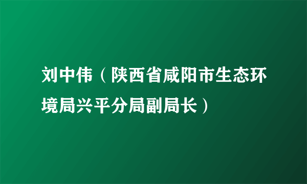 刘中伟（陕西省咸阳市生态环境局兴平分局副局长）