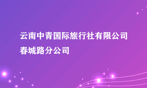 云南中青国际旅行社有限公司春城路分公司