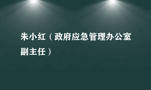 朱小红（政府应急管理办公室副主任）