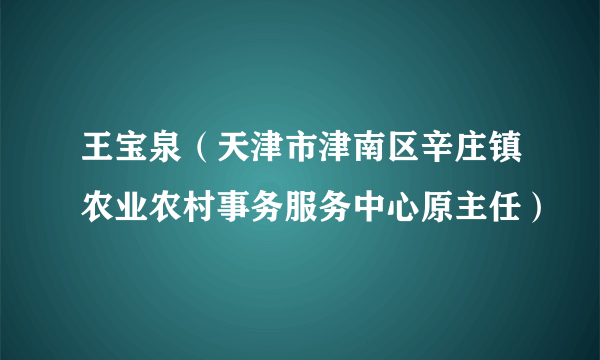 王宝泉（天津市津南区辛庄镇农业农村事务服务中心原主任）