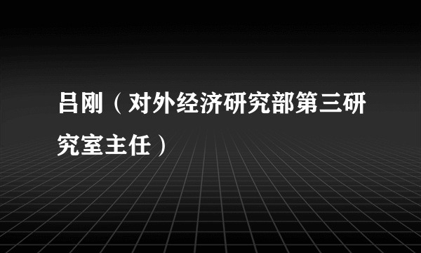 吕刚（对外经济研究部第三研究室主任）