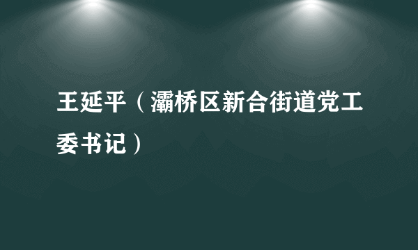 王延平（灞桥区新合街道党工委书记）