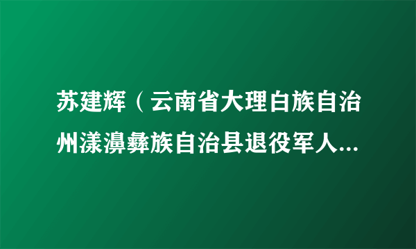 苏建辉（云南省大理白族自治州漾濞彝族自治县退役军人事务局副局长）