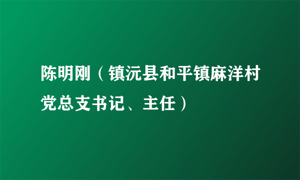 陈明刚（镇沅县和平镇麻洋村党总支书记、主任）