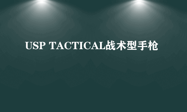 USP TACTICAL战术型手枪