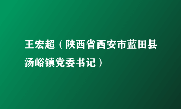 王宏超（陕西省西安市蓝田县汤峪镇党委书记）