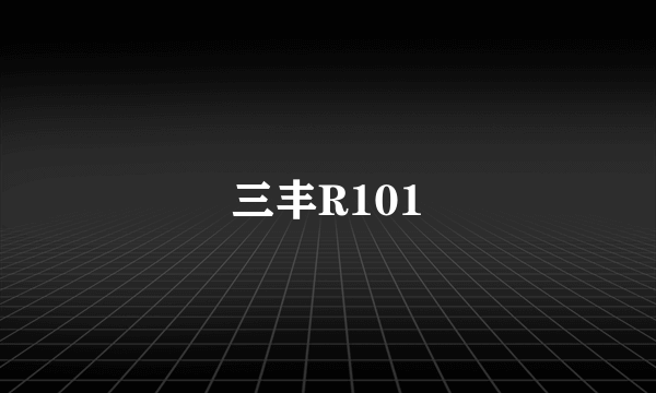 三丰R101