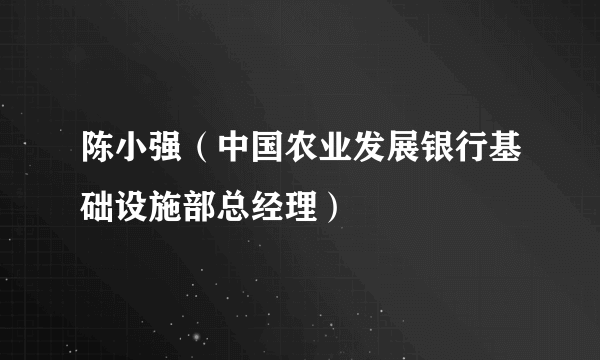 陈小强（中国农业发展银行基础设施部总经理）