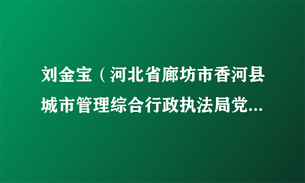 刘金宝（河北省廊坊市香河县城市管理综合行政执法局党组成员、副局长）