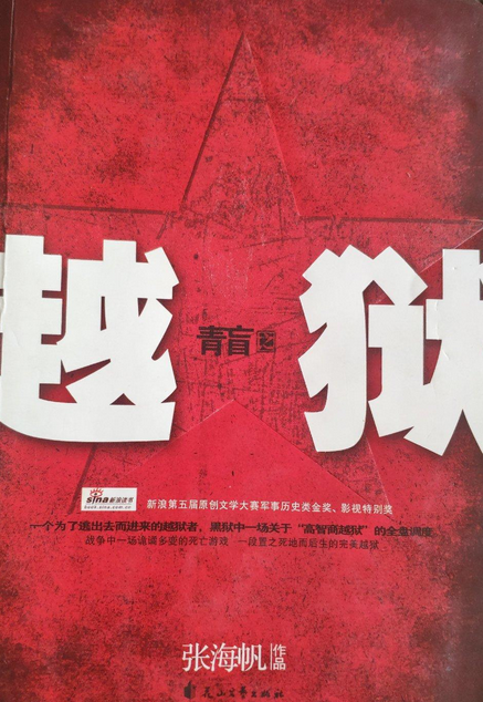 青盲之越狱（2008年花山文艺出版社出版的图书）