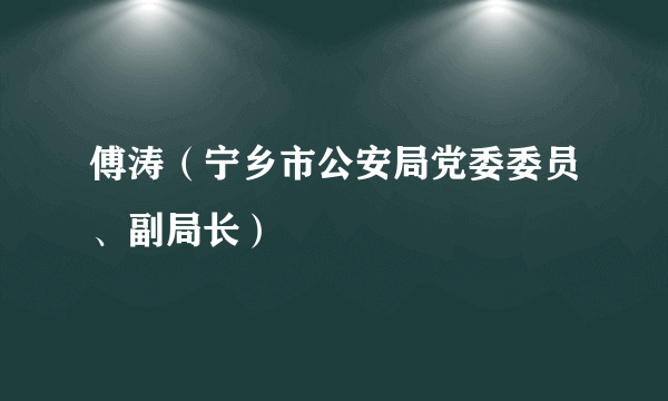 傅涛（宁乡市公安局党委委员、副局长）