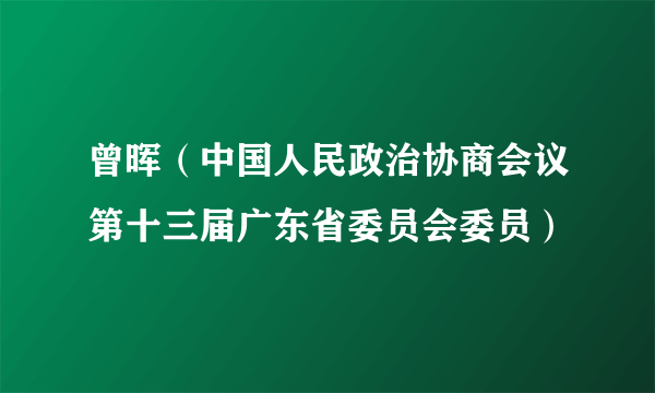 曾晖（中国人民政治协商会议第十三届广东省委员会委员）