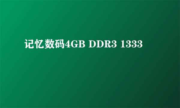 记忆数码4GB DDR3 1333