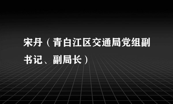 宋丹（青白江区交通局党组副书记、副局长）