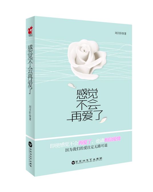 感觉不会再爱了（2014年7月百花洲文艺出版社出版的图书）