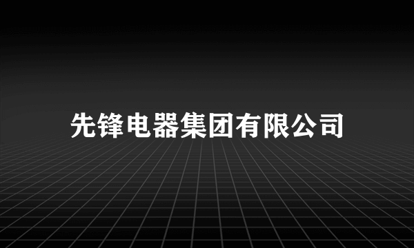 先锋电器集团有限公司