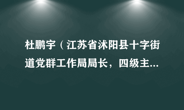 杜鹏宇（江苏省沭阳县十字街道党群工作局局长，四级主任科员）