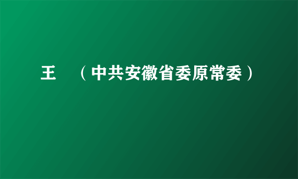 王翀（中共安徽省委原常委）