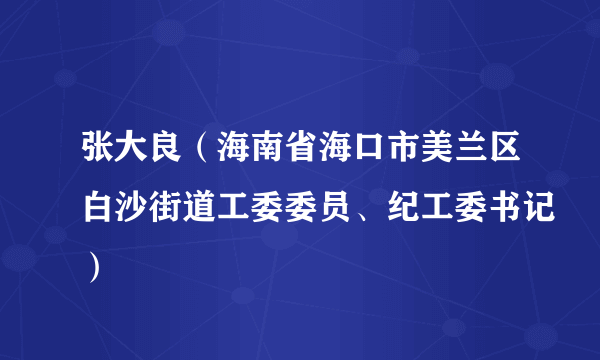 张大良（海南省海口市美兰区白沙街道工委委员、纪工委书记）