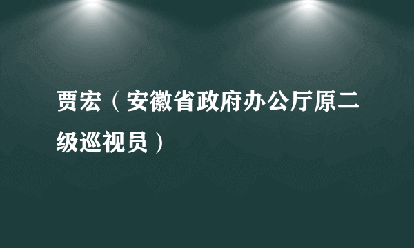 贾宏（安徽省政府办公厅原二级巡视员）