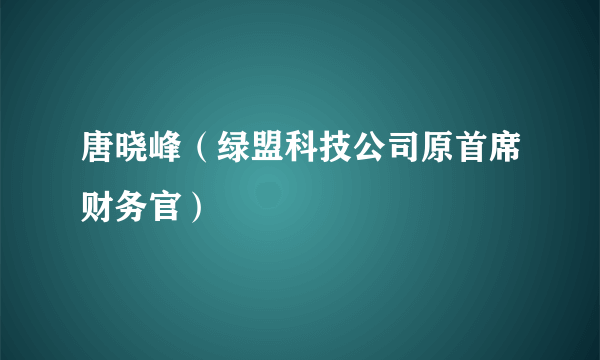 唐晓峰（绿盟科技公司原首席财务官）