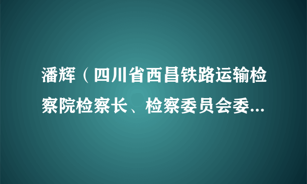 潘辉（四川省西昌铁路运输检察院检察长、检察委员会委员、检察员）