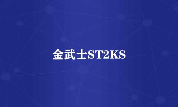 金武士ST2KS