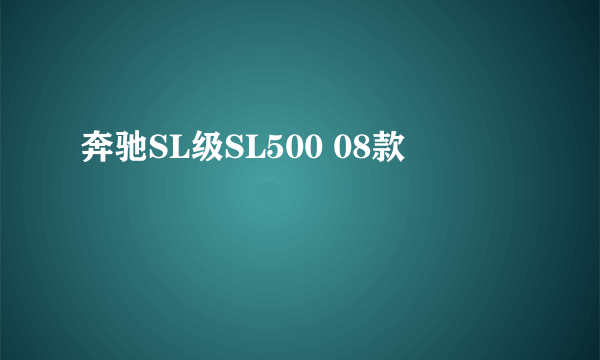 奔驰SL级SL500 08款