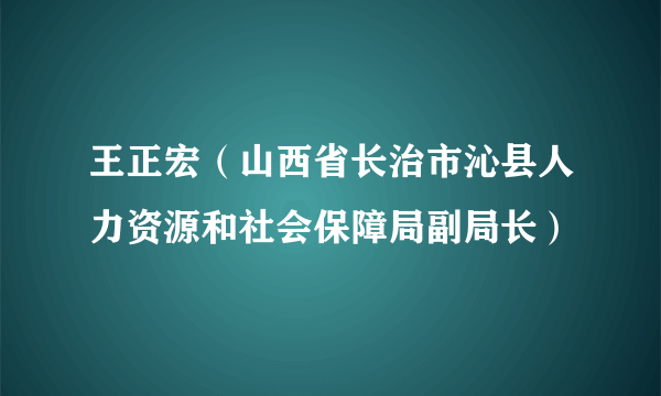 王正宏（山西省长治市沁县人力资源和社会保障局副局长）