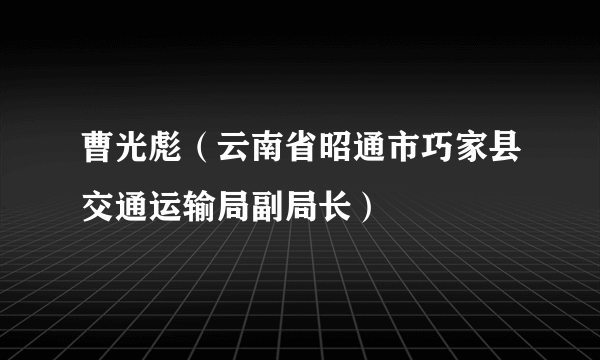 曹光彪（云南省昭通市巧家县交通运输局副局长）