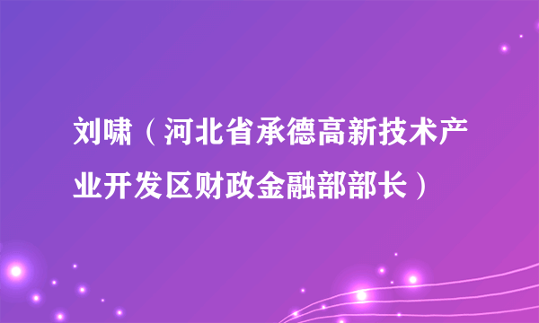 刘啸（河北省承德高新技术产业开发区财政金融部部长）