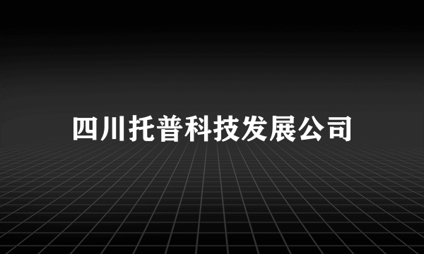 四川托普科技发展公司