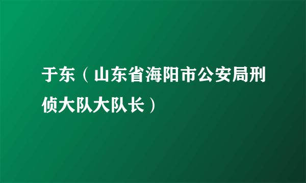 于东（山东省海阳市公安局刑侦大队大队长）