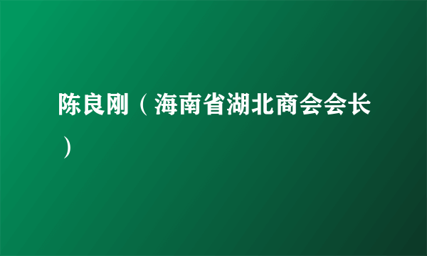 陈良刚（海南省湖北商会会长）