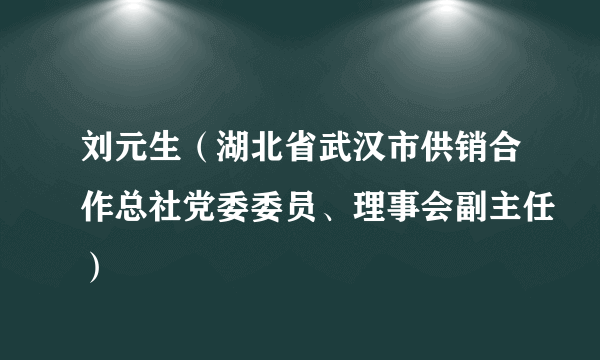 刘元生（湖北省武汉市供销合作总社党委委员、理事会副主任）