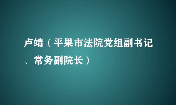 卢靖（平果市法院党组副书记、常务副院长）