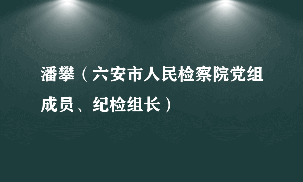 潘攀（六安市人民检察院党组成员、纪检组长）