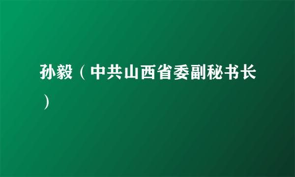 孙毅（中共山西省委副秘书长）