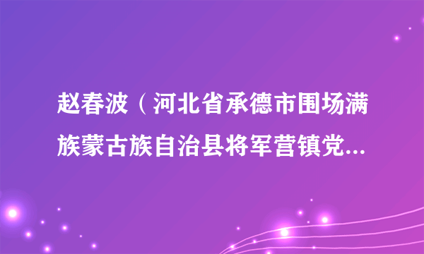 赵春波（河北省承德市围场满族蒙古族自治县将军营镇党委委员、政法书记）