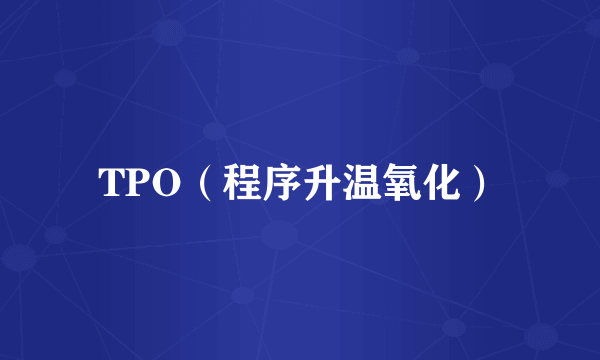 TPO（程序升温氧化）