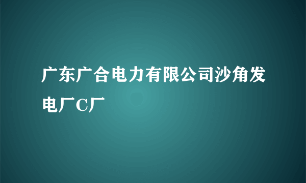 广东广合电力有限公司沙角发电厂C厂