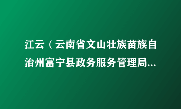 江云（云南省文山壮族苗族自治州富宁县政务服务管理局党组成员、副局长）