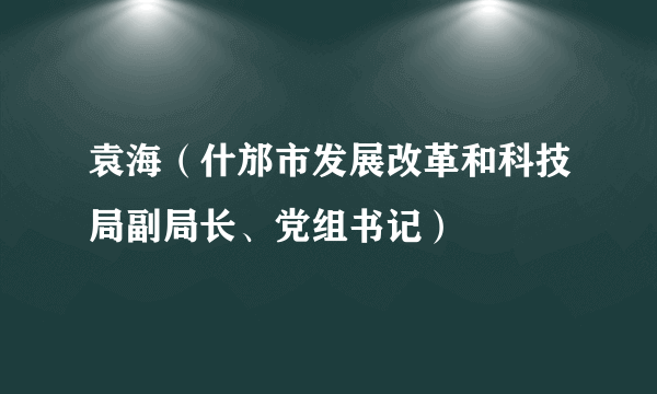 袁海（什邡市发展改革和科技局副局长、党组书记）