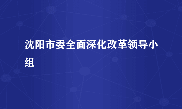 沈阳市委全面深化改革领导小组