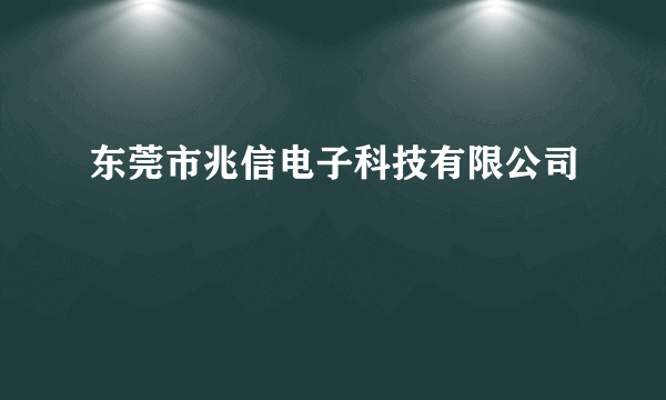 东莞市兆信电子科技有限公司