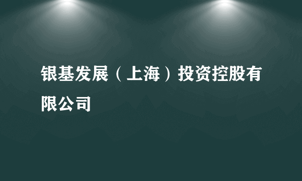 银基发展（上海）投资控股有限公司