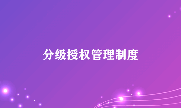 分级授权管理制度