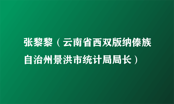 张黎黎（云南省西双版纳傣族自治州景洪市统计局局长）